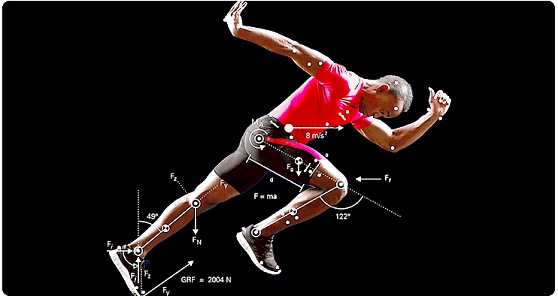 Роль биомеханики в спортивной гимнастике